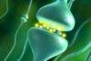 What Hypnosis is - Synapse Connections