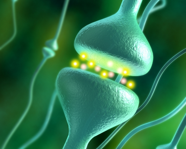 What Hypnosis is - Synapse Connections